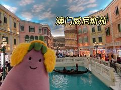 -澳门威尼斯人综合度假区
