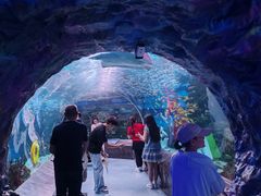 -海合安成都极地海洋公园