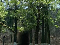 -明故宫遗址公园