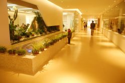 -北京和美妇儿医院