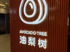 -油梨树 AVOCADO TREE(亮马桥店)