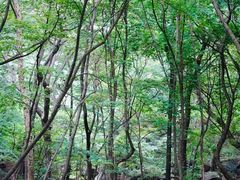 -苍岩山风景名胜区