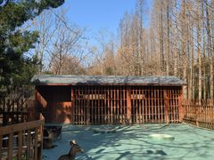 -东平国家森林公园