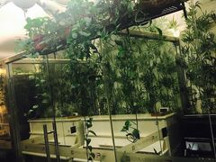 -圣典成人钢琴俱乐部(国贸旗舰校区)