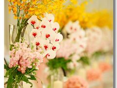 呆牛影像0233-北京西国贸大酒店