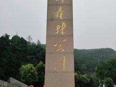 -铁山坪森林公园