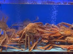 -阿伟海鲜楼·福建菜(延寿店)