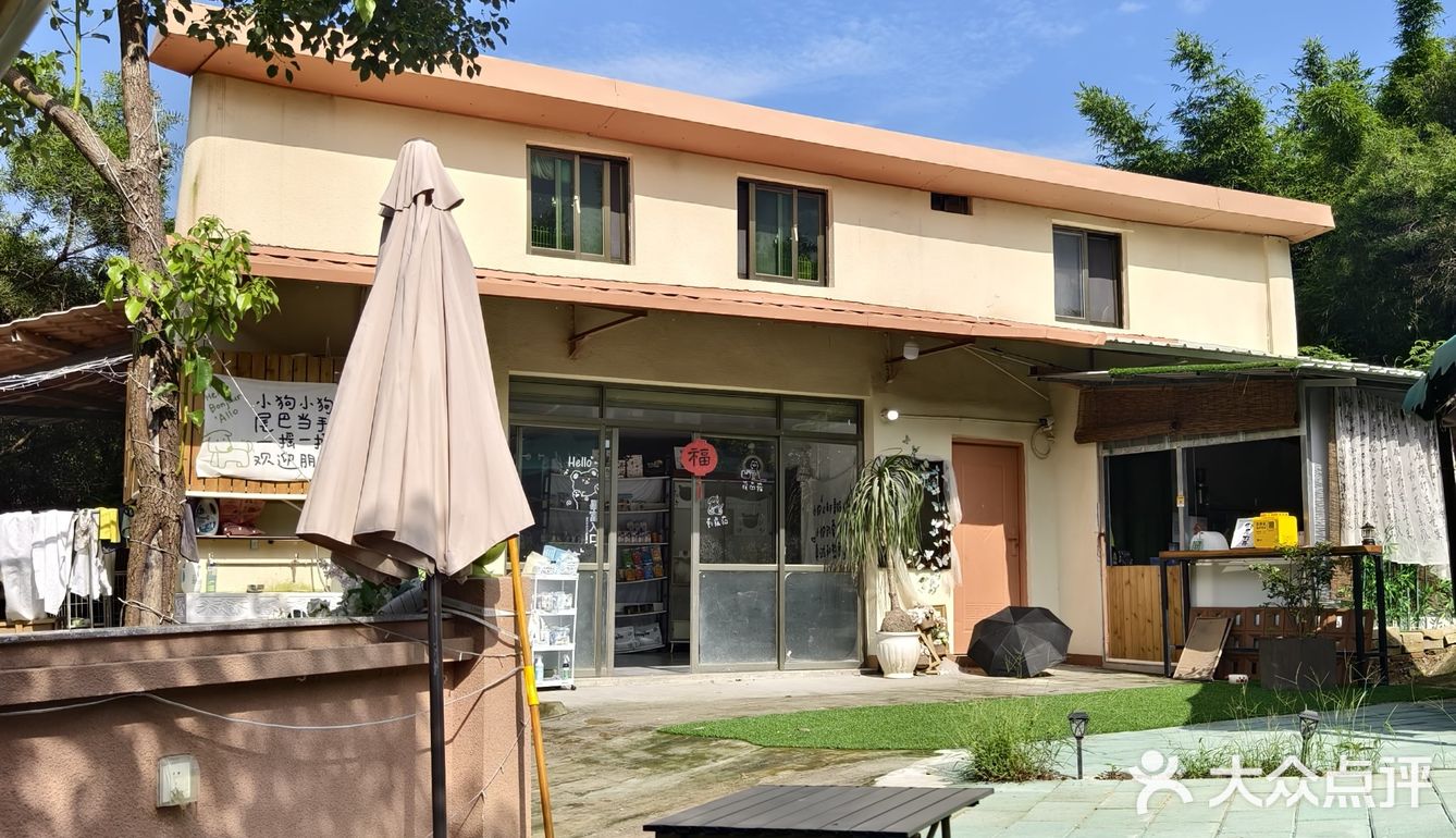 夏天冰饮大推荐