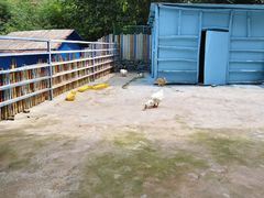 -西部长青自然儿童乐园