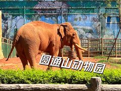 -昆明动物园