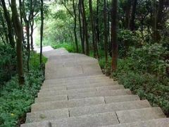 -梧桐山风景名胜区