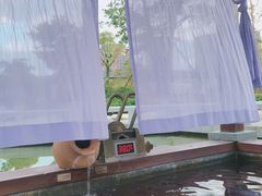 -凤翔首邑温泉度假村