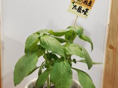 -呷贺盐酥鸡(抄纸巷店)