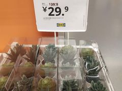 -宜家家居(哈尔滨商场店)