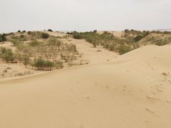 -银肯塔拉沙漠生态旅游景区