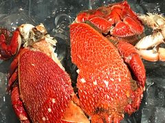 -上海齐鲁万怡大酒店·辣椒屋咖啡厅