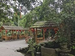 -青城甲(青城山店)