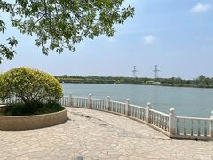 -大港湿地公园