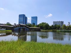 -西海子公园