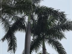 -广州市白云山风景名胜区