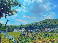 -红山村