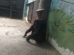 -石家庄市动物园