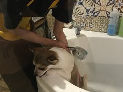 -Double Rui宠物酒店