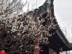-山塘街
