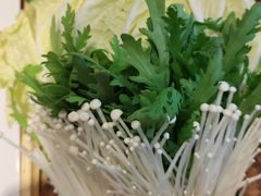 -蝎王府羊蝎子(西直门店)