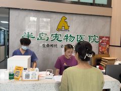 -半岛宠物医院24小时(科华中路店)
