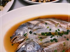 -华盛丰温州大排档(东三环南路店)