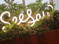 -Seesaw Coffee(朝阳大悦城店)