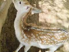 -鄂尔多斯野生动物园