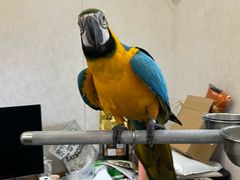 -观桥阁(锦溪店)