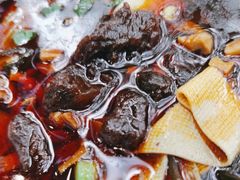 -彭家牛肉块扯面