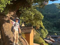 -杨家堂村