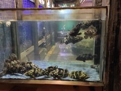 -珍宝轩海鲜火锅(碧湖大厦店)
