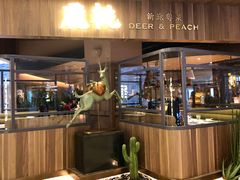 -大树餐厅(益田假日店)