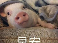-水平有限螺蛳粉(宏达大厦店)