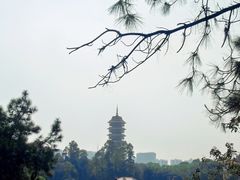 -三水森林公园