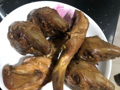 -邓氏兔头