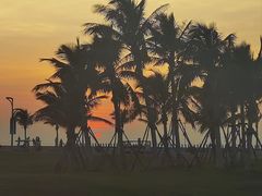 -海花岛旅游度假区
