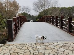 -巡塘古镇