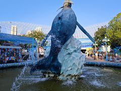 -海合安武汉极地海洋公园