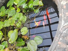 -秋果四合院酒店(北京王府井协和医院店)