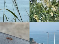 -西涌国际滨海旅游区