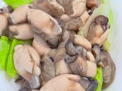 -金砂阿洲鱼册店