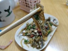 -针姨