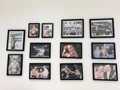 -EFL巴西柔术·综合格斗·泰拳·少儿体能训练(虹桥德必馆)