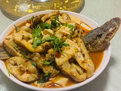 -煲来饱去冷水鱼